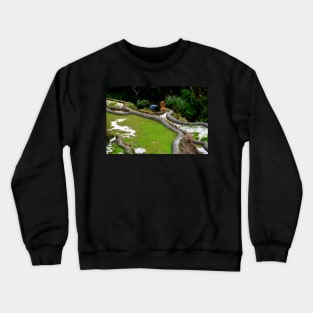 Rizières en terrasse de Banaue, Philippines Crewneck Sweatshirt